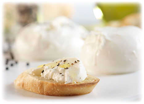 Simple Burrata Appetizer